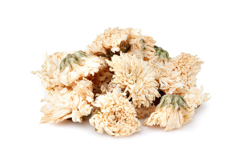 White Chrysanthemum Flowers (sample)